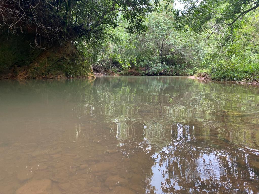 rio e o poco de noe.jpeg