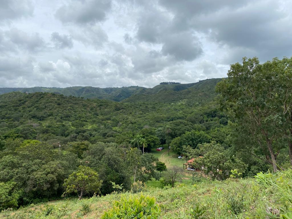 visual da casa por cima.jpeg