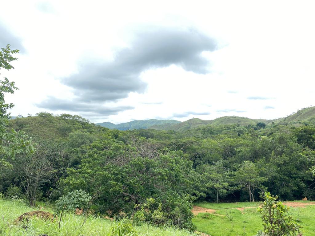 areas para regenerar.jpeg