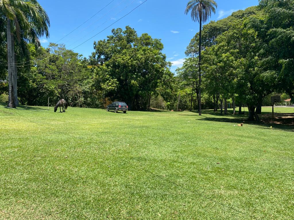 gramado e estacionamento.jpeg