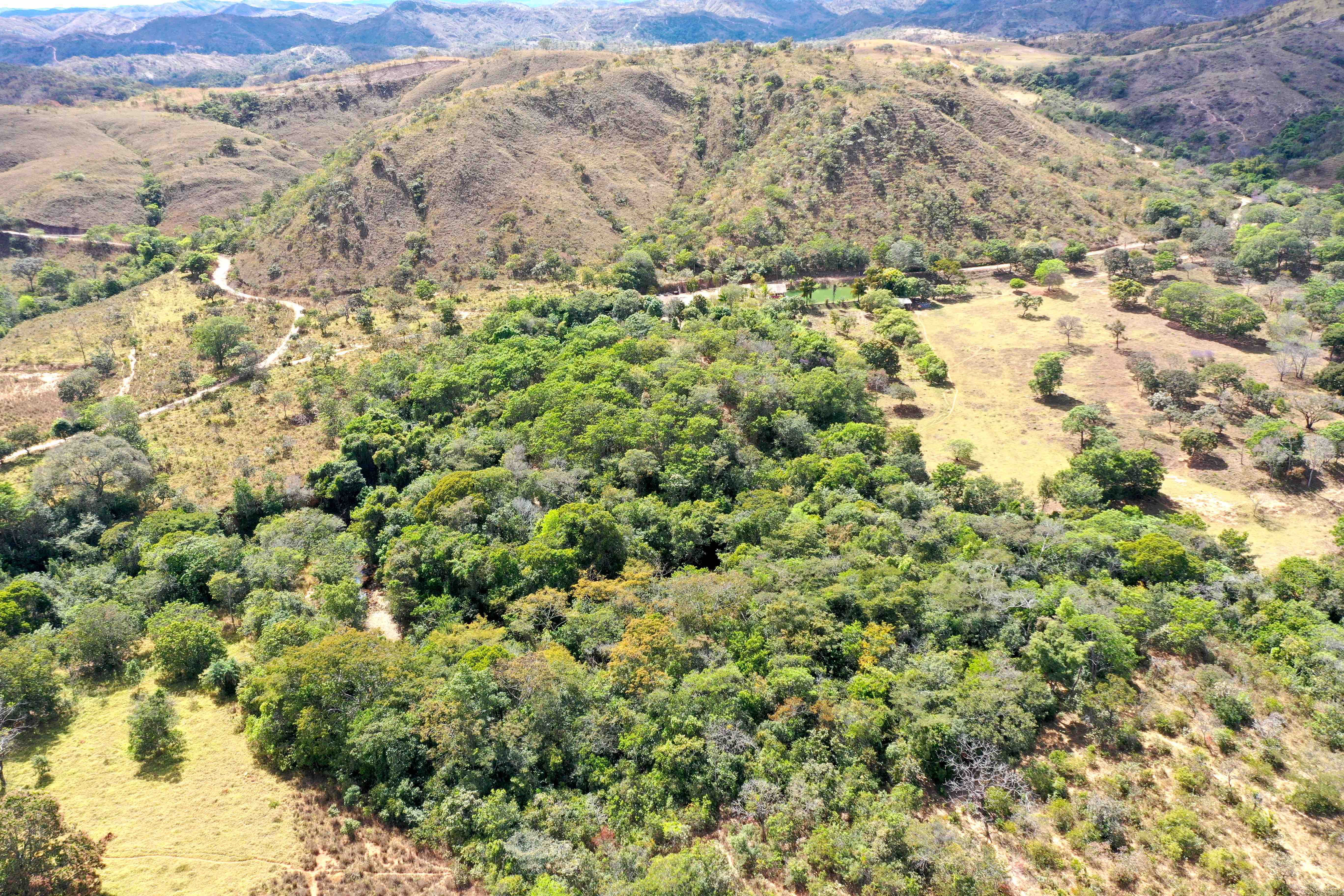 floresta lateral casa Pachamama.jpg
